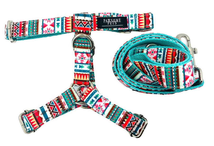Zeus AdventureSet™ Dog Harness & Leash