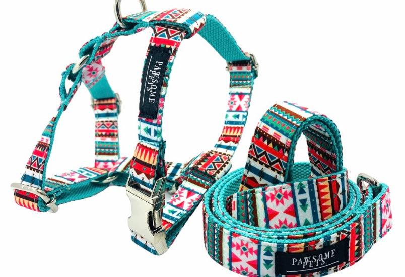 Zeus AdventureSet™ Dog Harness & Leash