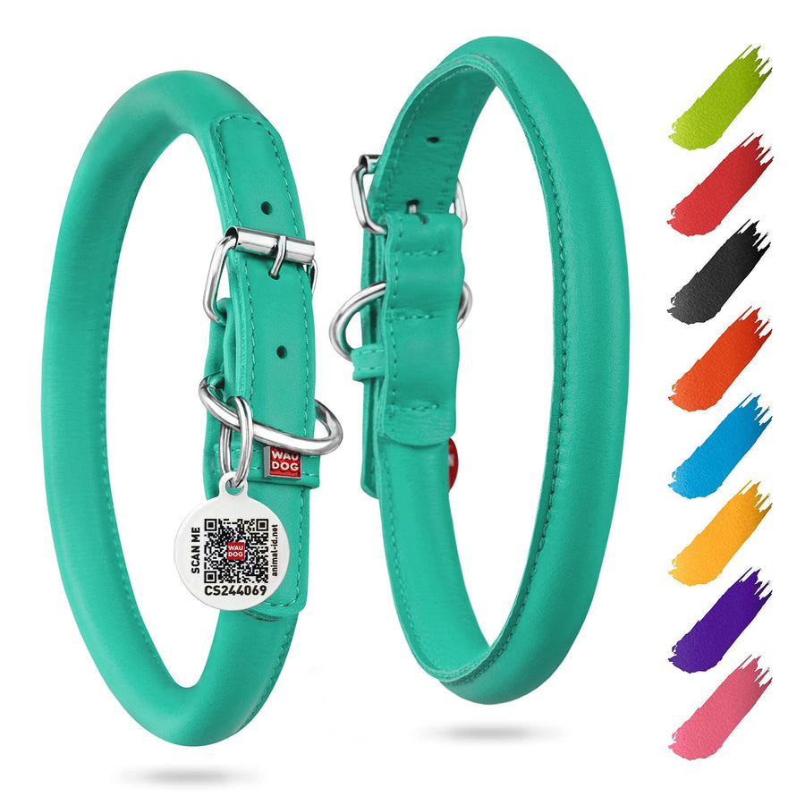 Zeus Comfort Roll™ — Turquoise