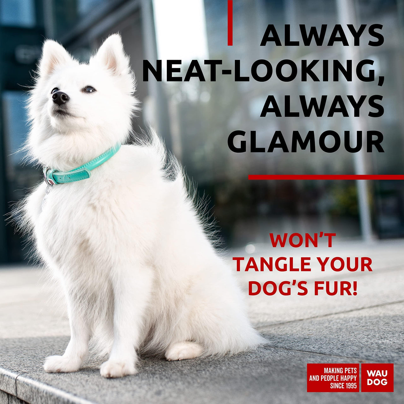 Zeus Comfort Roll™ — Turquoise
