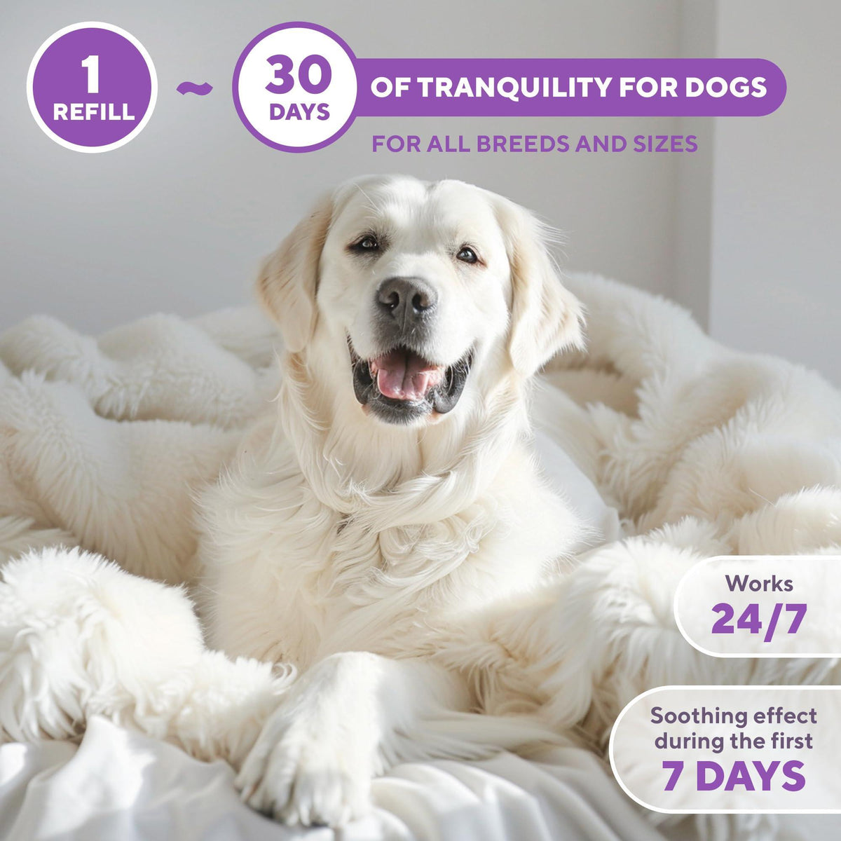 Zeus CalmHome™ Calming Diffuser Kit for Dogs